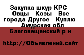 Закупка шкур КРС , Овцы , Козы - Все города Другое » Куплю   . Амурская обл.,Благовещенский р-н